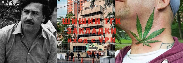 крисы Туринск