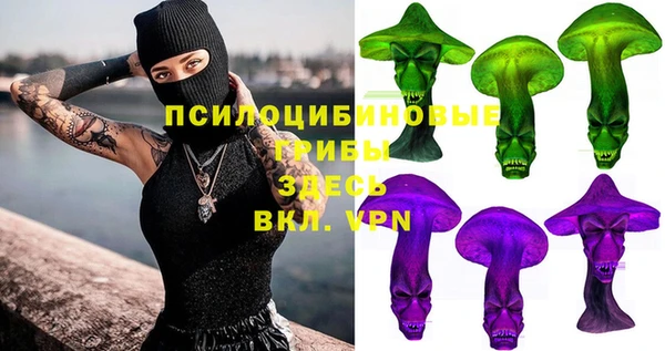 spice Белокуриха
