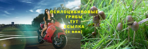MESCALINE Тында