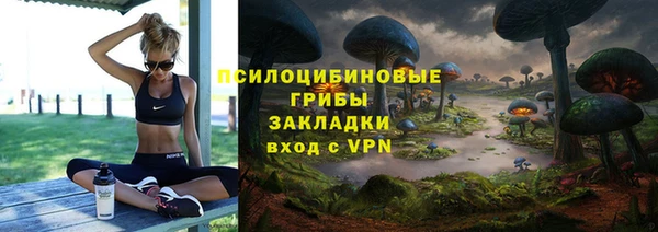 spice Белокуриха