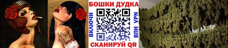 Шишки марихуана Amnesia  Шилка 